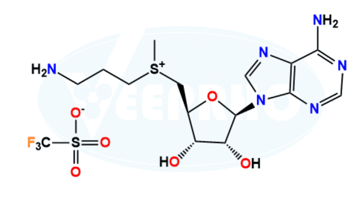 Decarboxylated (S)-Adenosyl Methionine Trifluoromethanesulfonic Acid Decarboxylated (S)-Adenosyl Methionine Trifluoromethanesulfonic Acid
