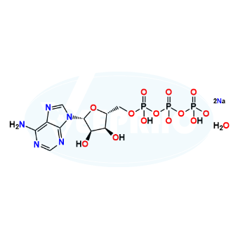 Adenosine 5`-Triphosphate Disodium Salt Hydrate Adenosine 5`-Triphosphate Disodium Salt Hydrate