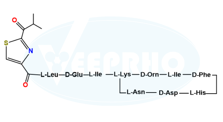 Bacitracin EP Impurity F Bacitracin EP Impurity F